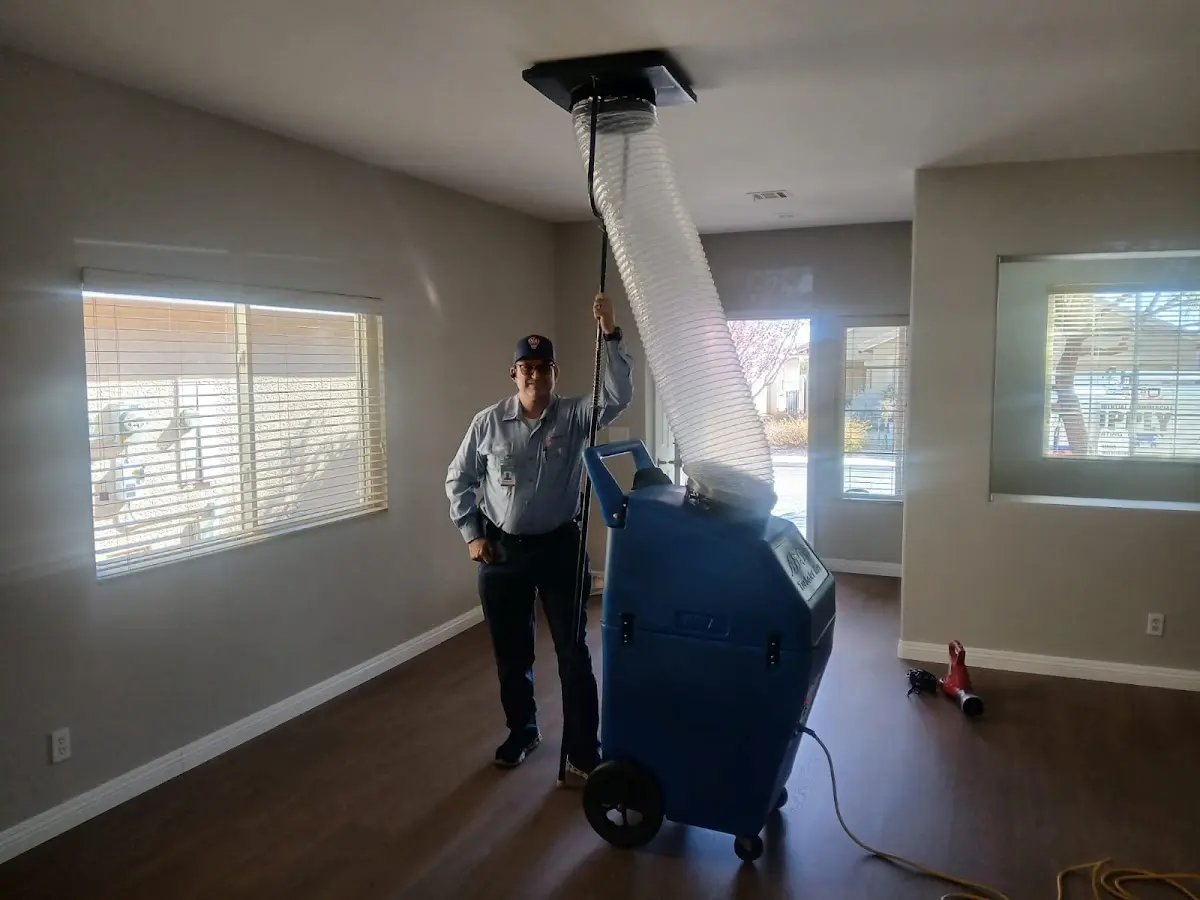 Professional Dryer Vent Cleaning work inside a North Kensington home